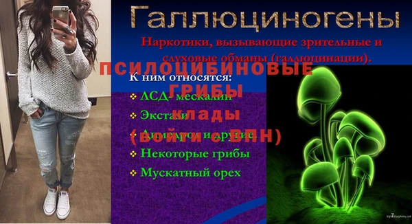 молекула духа Алзамай