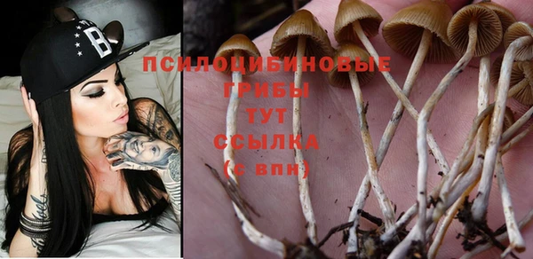 кристаллы Алексин