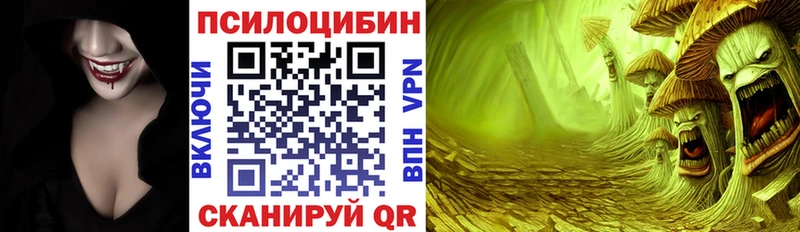 Псилоцибиновые грибы Psilocybe  гидра ССЫЛКА  Новоузенск 